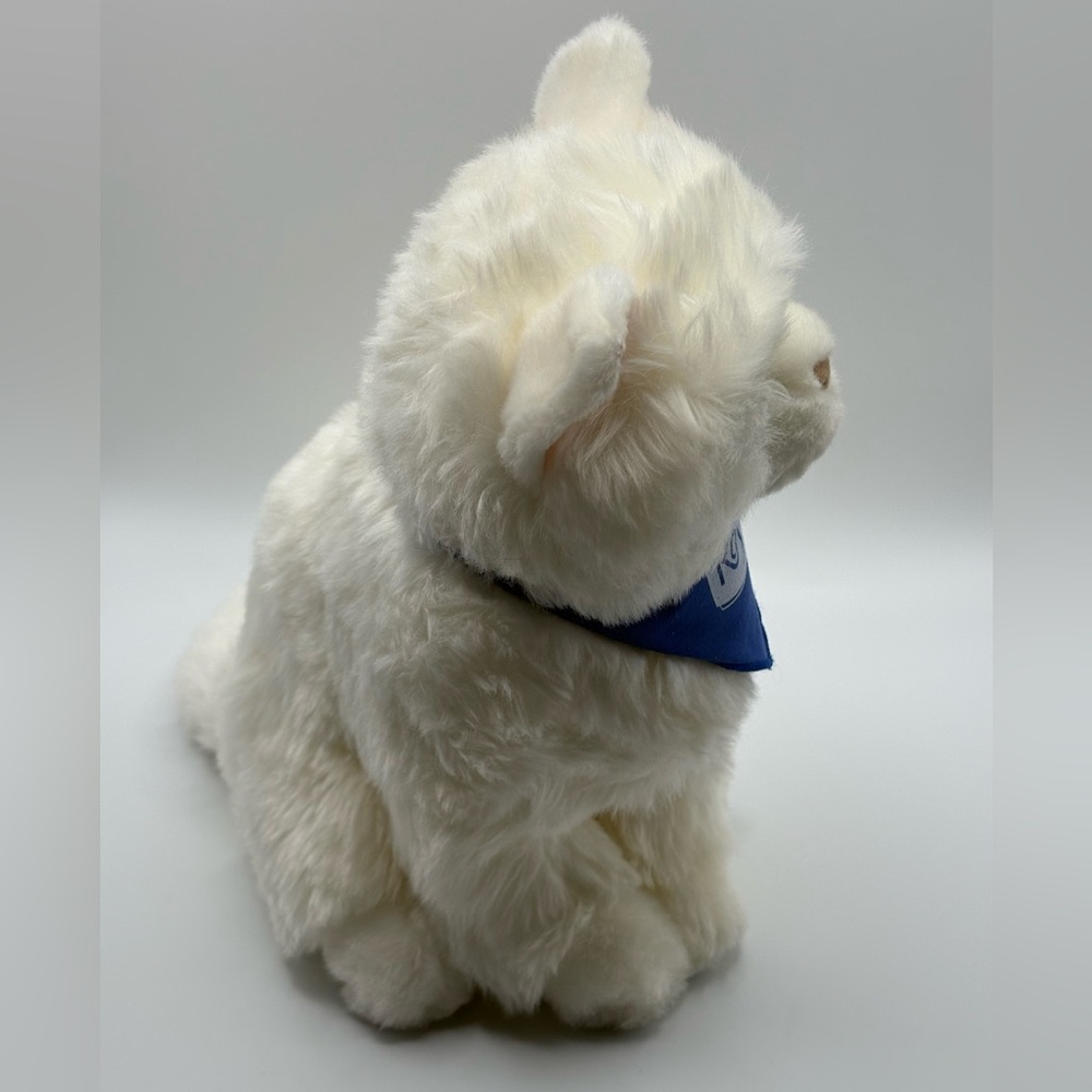 2016 Douglas Cuddle Toy Sitting White Cat 10” Soft Persian Plush Stuffed #2805 - Picture 5 of 16